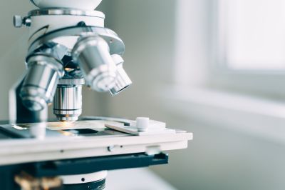 DSZ-HNO – Deutsches Studienzentrum für HNO-Heilkunde, Kopf- und Hals-Chirurgie